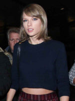 Taylor Swift Melville Avi Cropped Knit Sweater