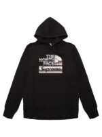 Supreme The North Face Metallic Logo Pullover Hoodie