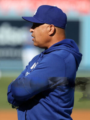 LA Series 2024 Dave Roberts World Blue Hoodie